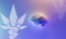 What impact does CBD have on the brain and memory?