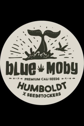 Blue Moby - feminizované semená marihuany HumboldtXSeedstockers 5 ks
