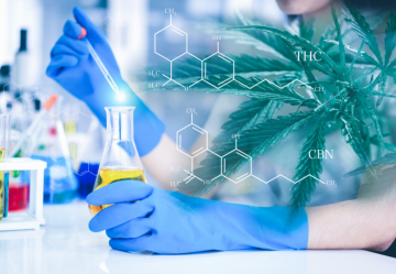 Hanf und Cannabinoide: Ein Leitfaden zu Cannabinoiden und ihren Wirkungen