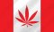Legal marijuana is coming to Canada. Investors sense an opportunity.