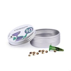 Runtz Revolution - feminized seeds 10 pcs Cannapio