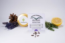 Auto Skywalker Haze® - feminizované a samokvitnúce semená 7 ks Dutch Passion
