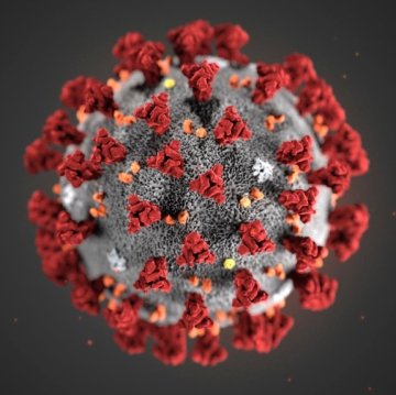 Coronavirus und CBD