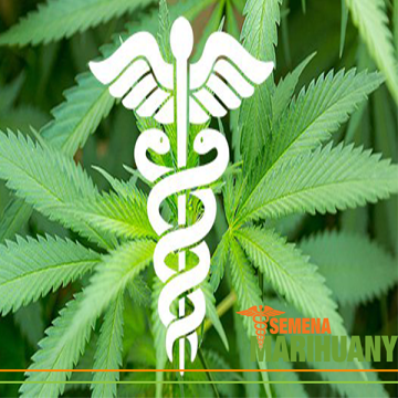 Medizinische Cannabinoide 5: CBDV