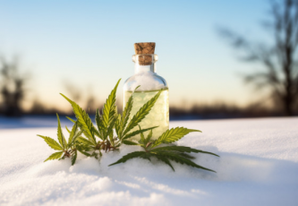 WINTER IS COMING: 5 ESSENTIAL REASONS TO HAVE CBD ON HAND!
