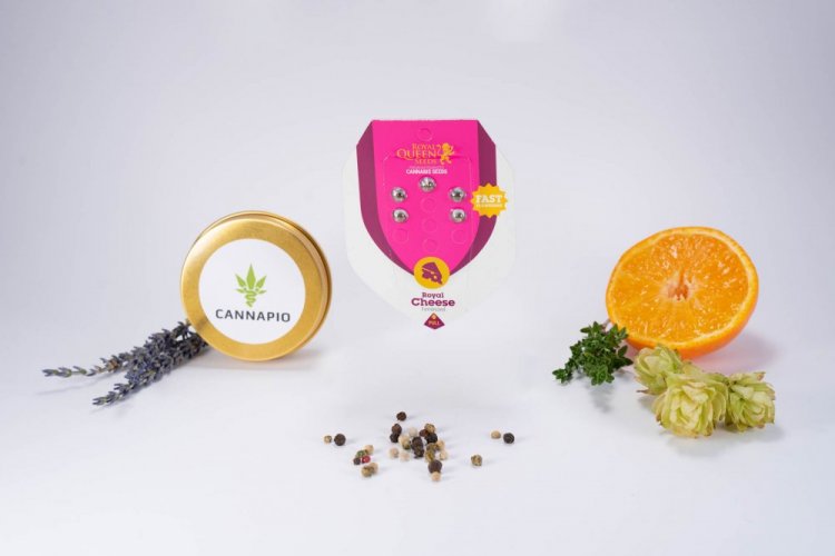 Royal Cheese - feminisierte Samen 5 Stück Royal Queen Seeds