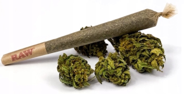 Jak zabalit CBD joint: Kompletní návod krok za krokem