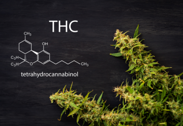 THC: Čo je to THC a aké sú jeho zdravotné výhody a nevýhody?