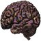 Study: Medical Cannabis Helps 80% of Autistic Children
