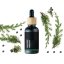 BIO Borievka obyčajná - 100% prírodný esenciálny olej (10ml) - Pestovník