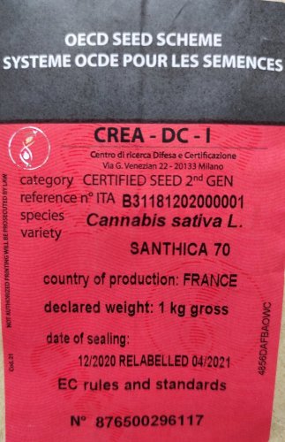 Santhica 70 - technical hemp 25pcs Cannapio