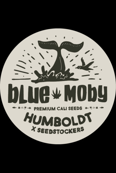 Blue Moby - feminizované semena marihuany HumboldtXSeedstockers 3 ks