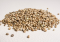 How to grow cannabis from seed?