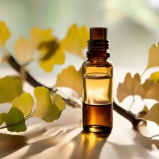 BIO Ginkgo - 100% přírodní infusovaný olej (10 ml)