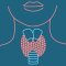 The Potential of CBD in Treating Thyroid Disorders