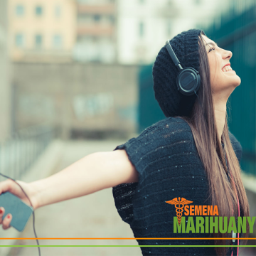 Musik klingt unter dem Einfluss von Cannabis besser. Warum?