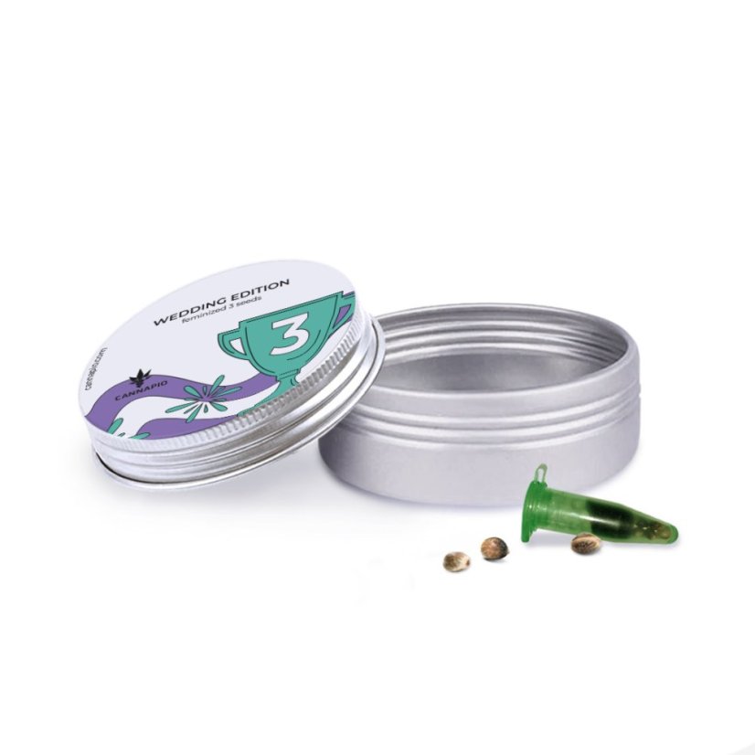 Wedding Edition - feminized seeds 3 pcs Cannapio