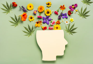 7 psychische Erkrankungen, die mit CBD behandelt werden können
