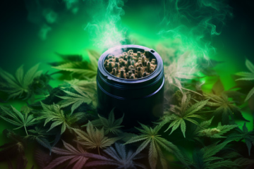 REINIGUNG DES CANNABIS-HÄCKSLERS MIT MILCH: JA ODER NEIN?