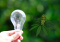 Indoor Cannabis Cultivation: 5 Tips to Save on Energy Costs