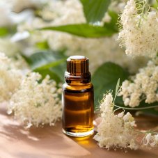 BIO Comfrey - 100% natural infused oil (10 ml)