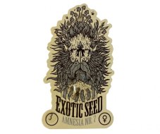 Amnesia Nr. 7 - feminizovaná semena marihuany, 3ks Exotic Seed