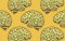 Cannabis Withdrawal Symptoms