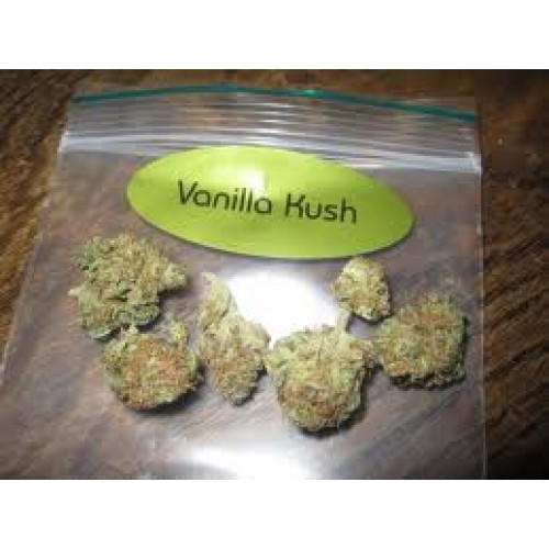 Vanilla Kush – feminizovaná semínka 5 ks Barney's Farm