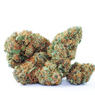 White Widow - one of the most famous cannabis varieties in the world