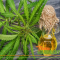 8 Most Common Questions About CBD