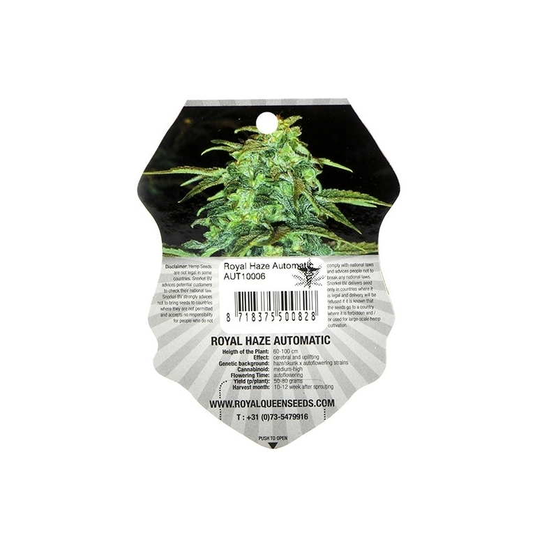 Royal Haze Automatic - samonakvétací semínka 3ks Royal Queen Seeds