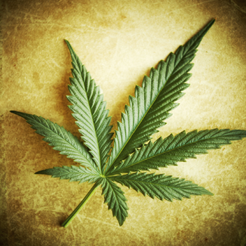 Cannabisabhängigkeit
