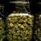 Degradation and Storage of Therapeutic Cannabis