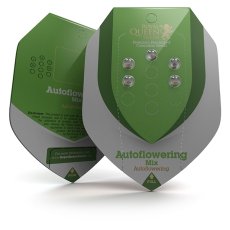 Autoflower-Mix - feminisierte und selbstblühende Samen 5 Stück Royal Queen Seeds
