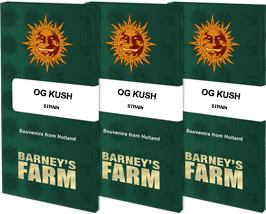 OG Kush - feminizované semená 10ks Barney´s Farm