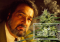 Jack Herer: Cannabis Activist and Legend