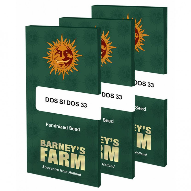 Dos Si Dos 33 - feminizované semená 10 ks, Barney´s Farm