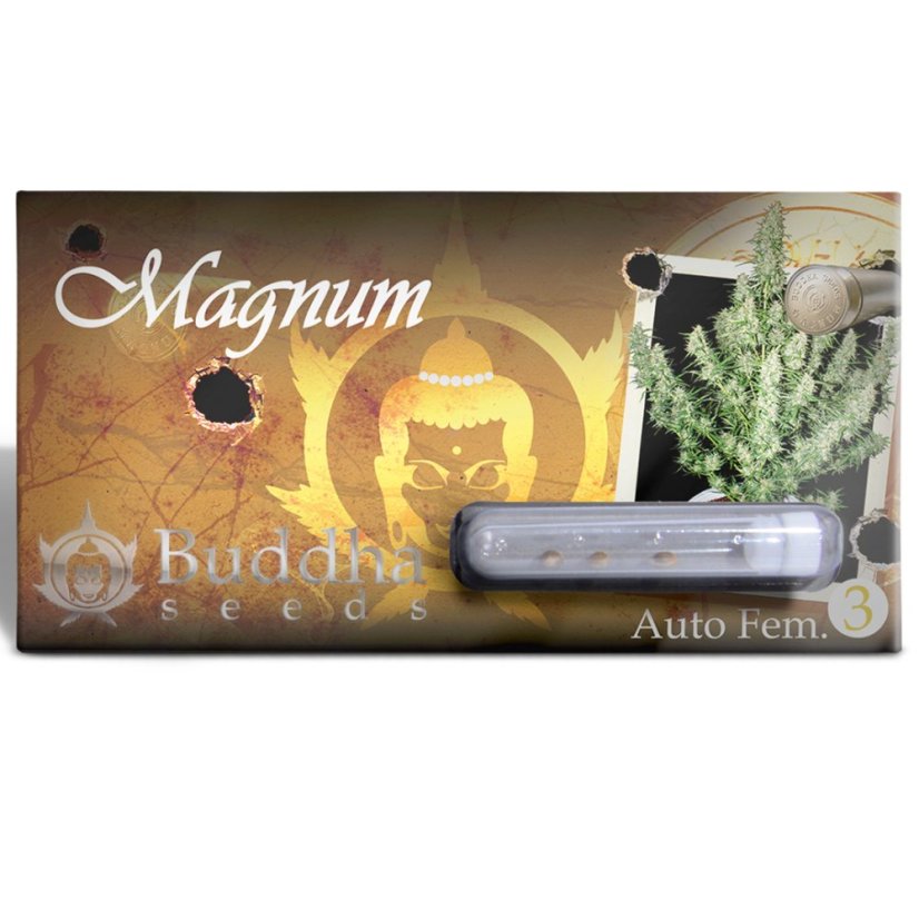 Magnum auto - feminizovaná semínka, 3 ks, Buddha Seeds