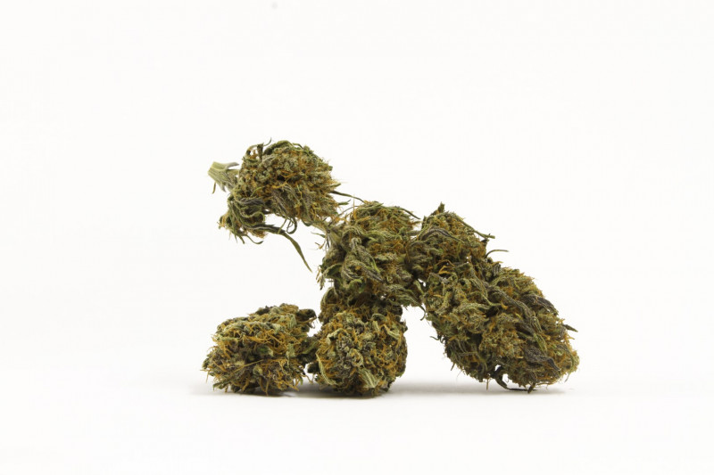 Zenergy - Indoor CBD Flowers Cannapio 500g