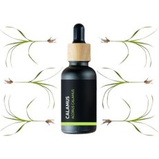 BIO Calamus - 100% prírodný esenciálny olej (10ml) - Pestík