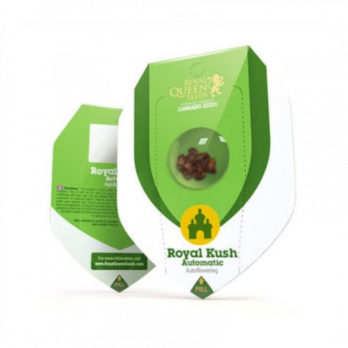 Royal Kush Automatic - samonakvétací semínka 10ks, Royal Queen Seeds