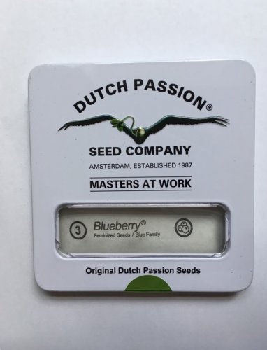 BlueBerry - feminized 3pcs Dutch Passion seeds