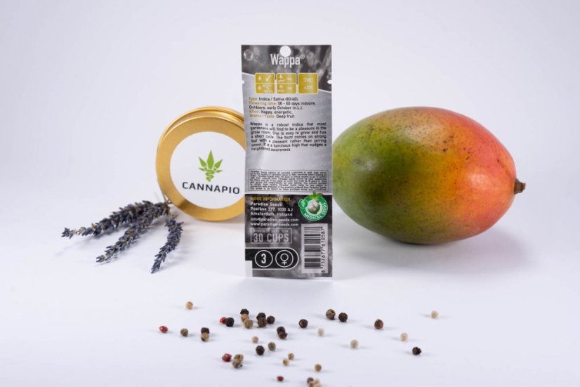 Wappa - 3 ks feminizovaná semínka Paradise Seeds