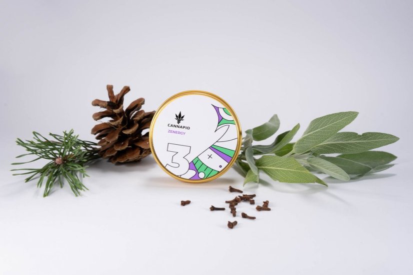 Zenergy CBD - 5 sztuk feminizowanych nasion Cannapio