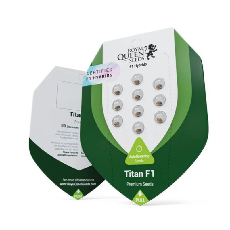 Titan F1 - automatycznie kwitnące nasiona marihuany 10 sztuk, Royal Queen Seeds