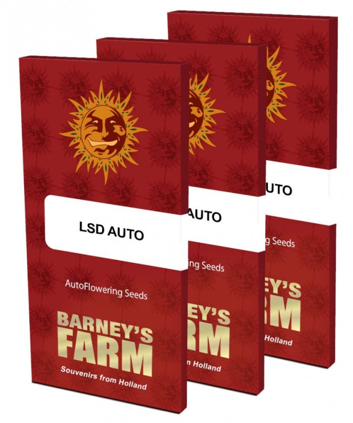 LSD AUTO - semințe autofloritoare 3 buc Barney's Farm