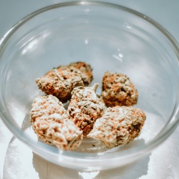 Ist Hanfprotein die beste Proteinquelle für Vegetarier?