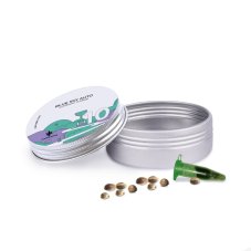 Blue Sky Auto - autoflowering semena 10 ks Cannapio