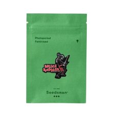 Bruce Banger - feminizované semienka konope 10 ks, Seedsman