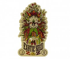 Z&Z - feminized marijuana seeds, 3pcs Exotic Seed